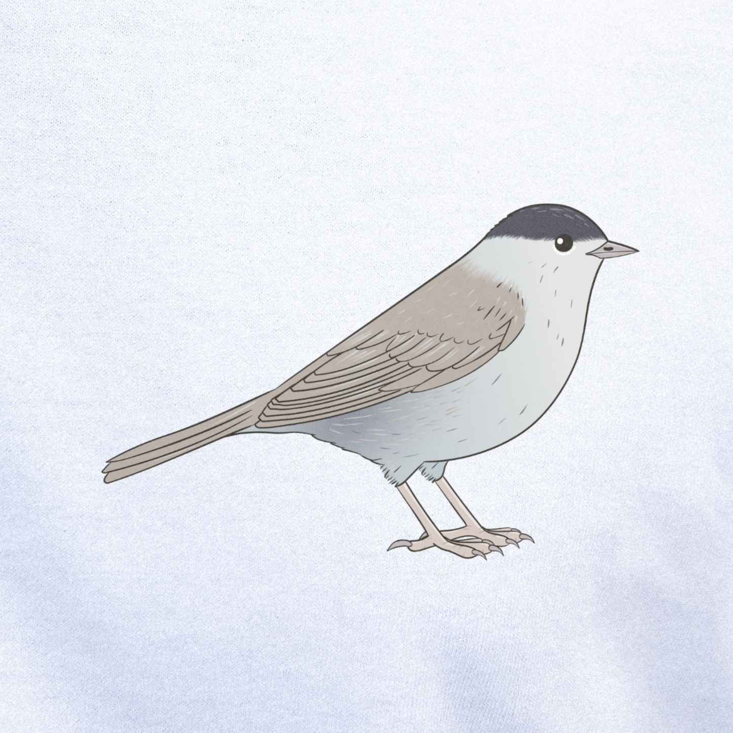 Birdex close-up mockup - Blackcap Unisex T-shirt