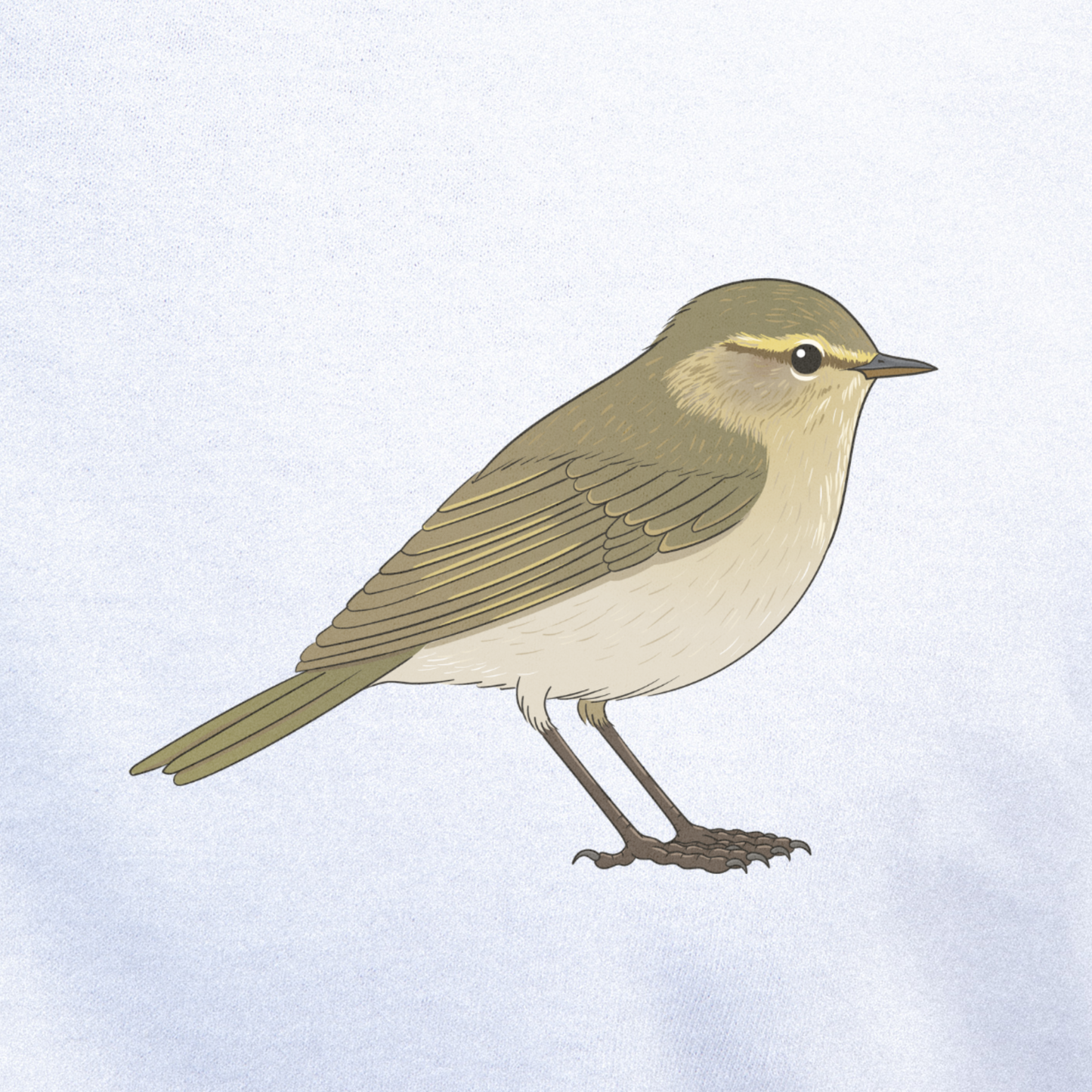 Birdex close-up mockup - Chiffchaff Unisex T-shirt
