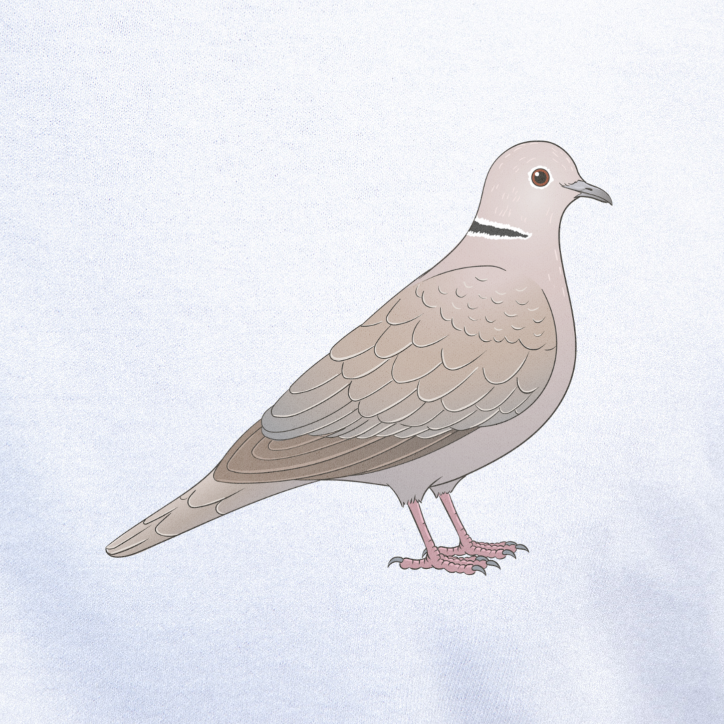 Birdex close-up mockup - Collared Dove Unisex T-shirt