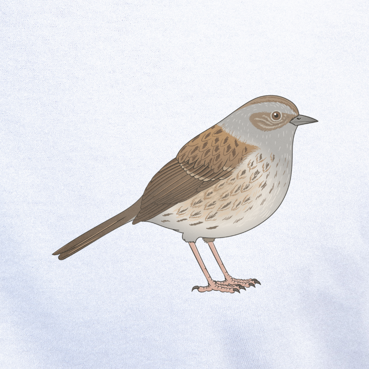 Birdex close-up mockup - Dunnock Unisex T-shirt