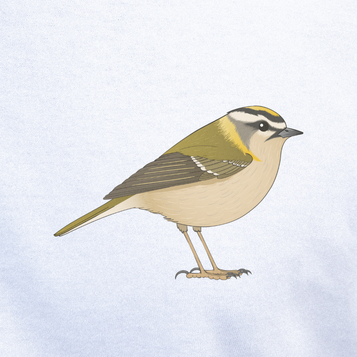 Birdex close-up mockup - Firecrest Unisex T-shirt