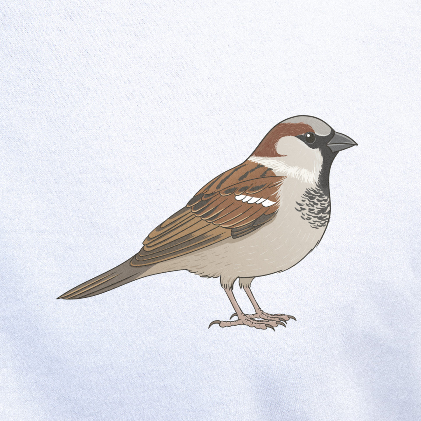Birdex close-up mockup - House Sparrow Unisex T-shirt