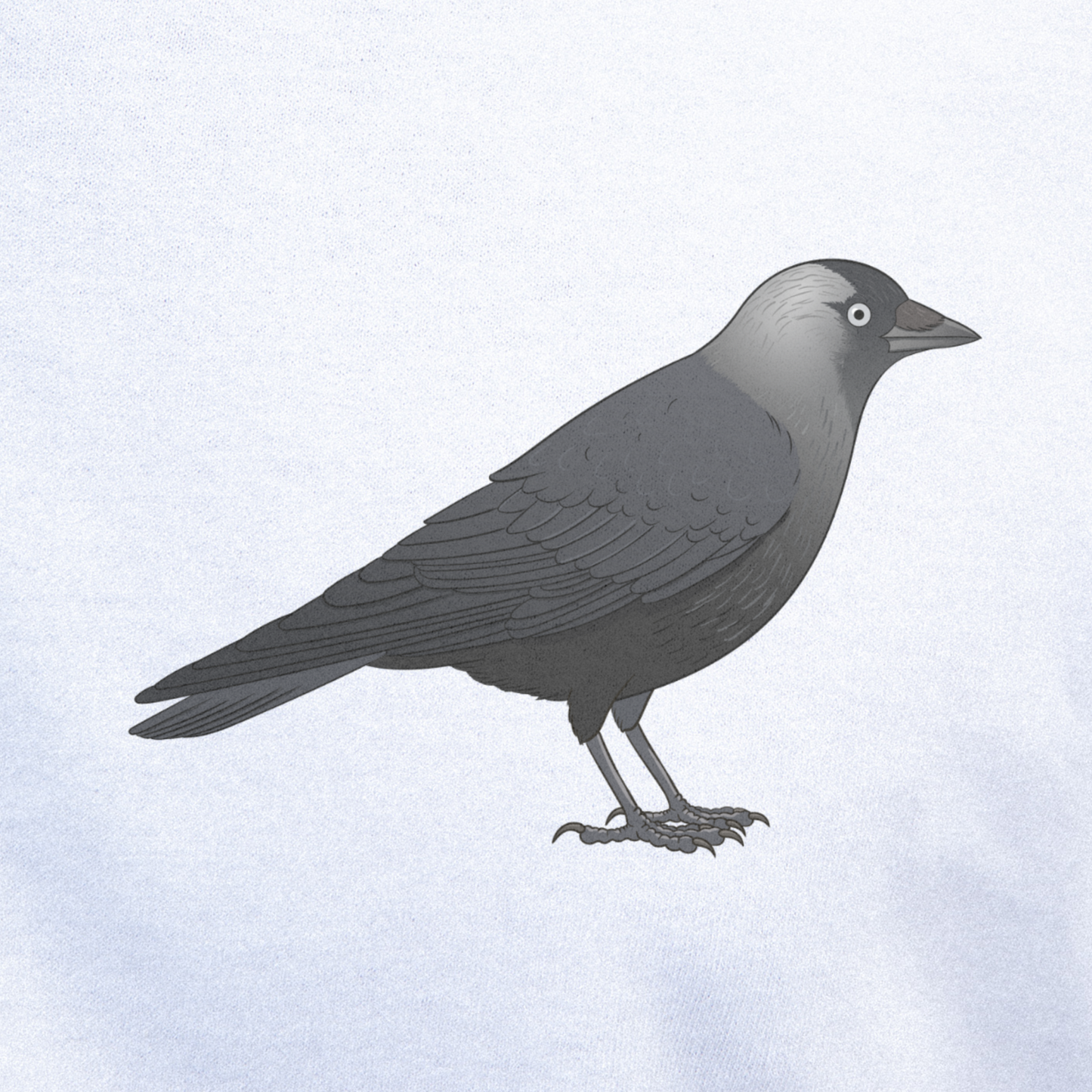 Birdex close-up mockup - Jackdaw Unisex T-shirt