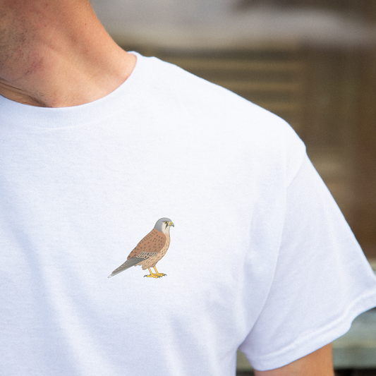 Birdex lifestyle mockup - Kestrel Unisex Tee