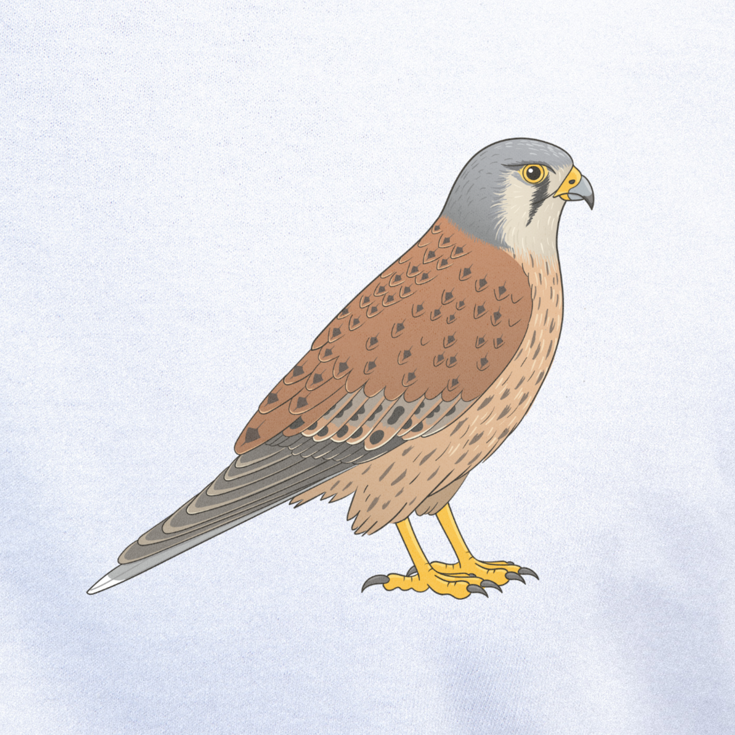 Birdex close-up mockup - Kestrel Unisex T-shirt