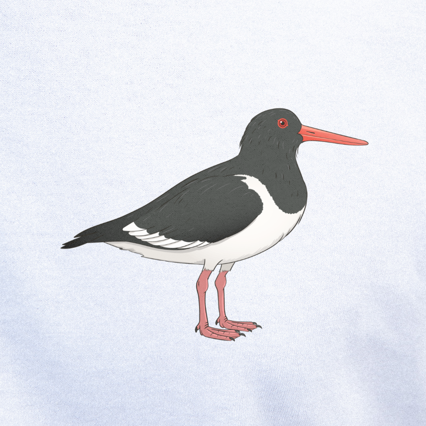 Birdex close-up mockup - Oystercatcher Unisex T-shirt