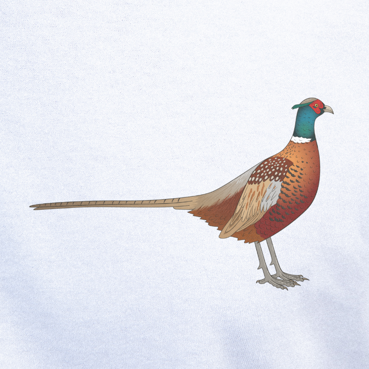 Birdex close-up mockup - Pheasant Unisex T-shirt