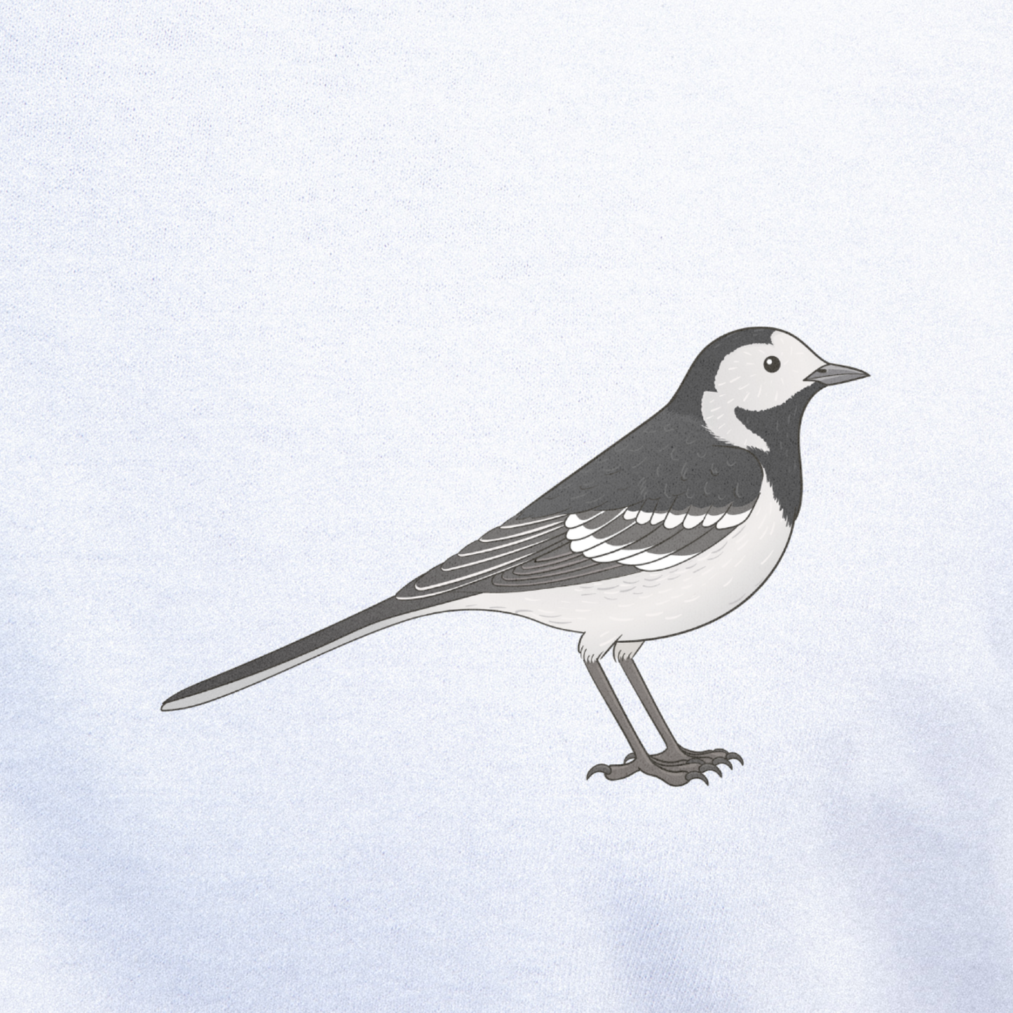 Birdex close-up mockup - Pied Wagtail Unisex T-shirt