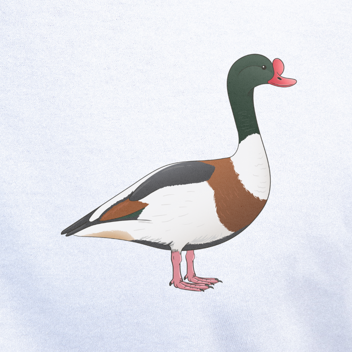 Birdex close-up mockup - Shelduck Unisex T-shirt