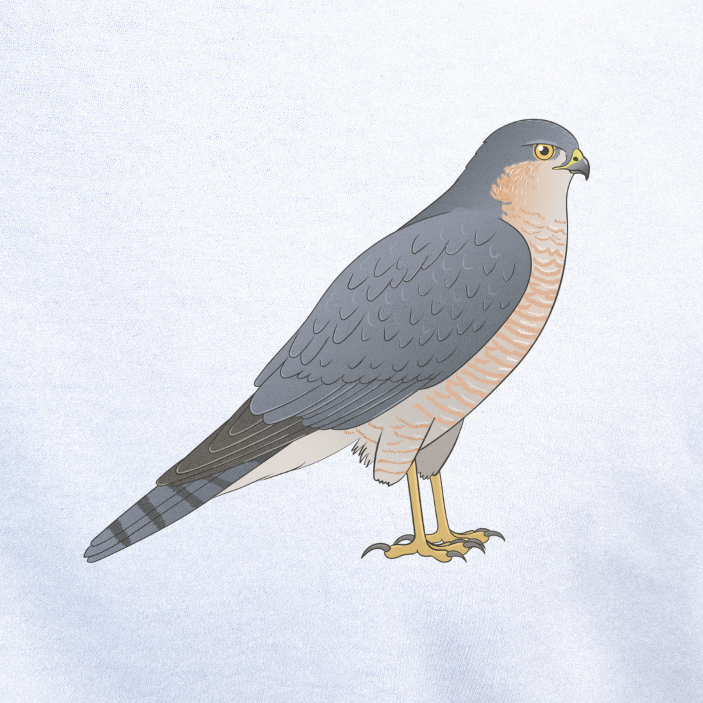 Birdex close-up mockup - Sparrowhawk Unisex T-shirt
