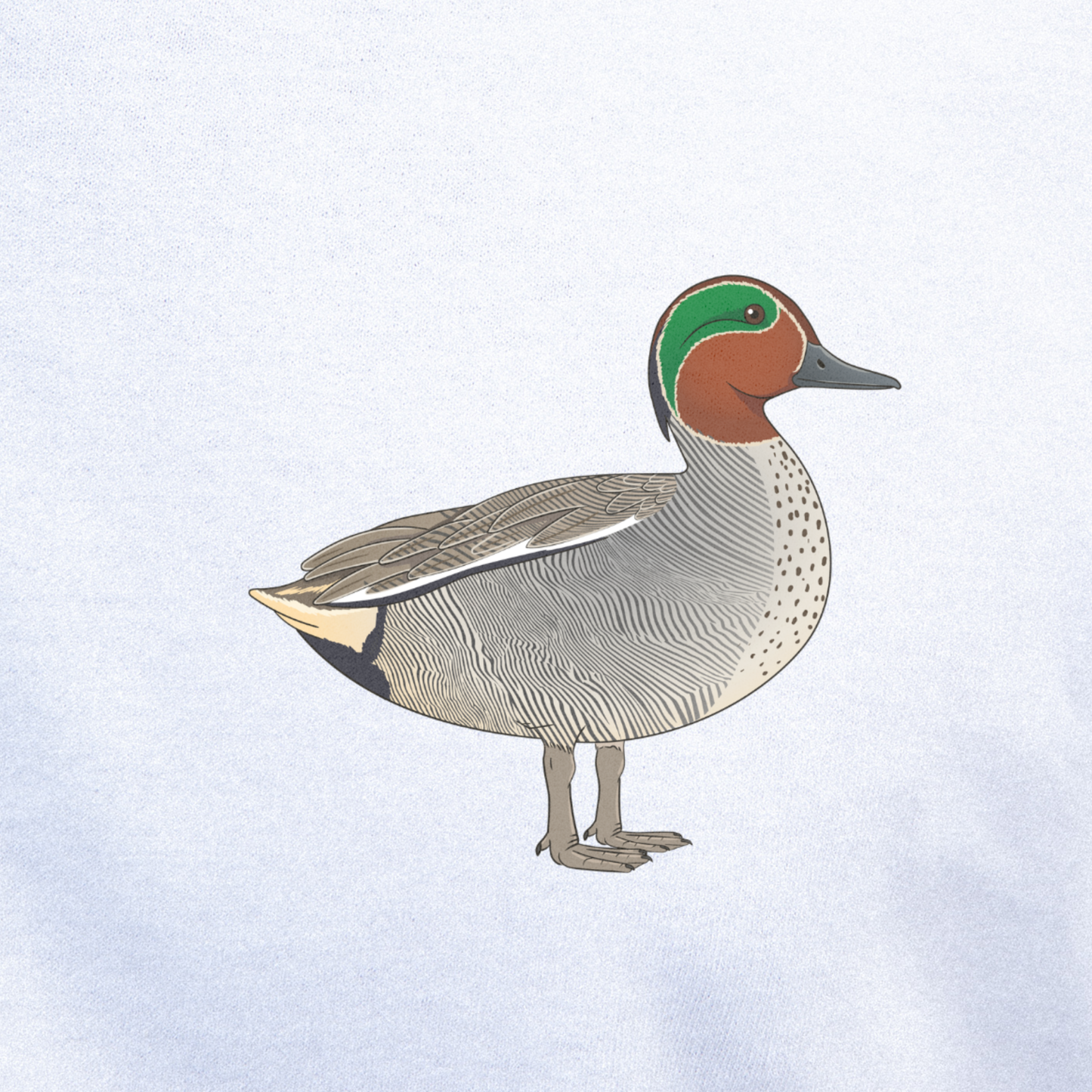 Birdex close-up mockup - Teal Unisex T-shirt
