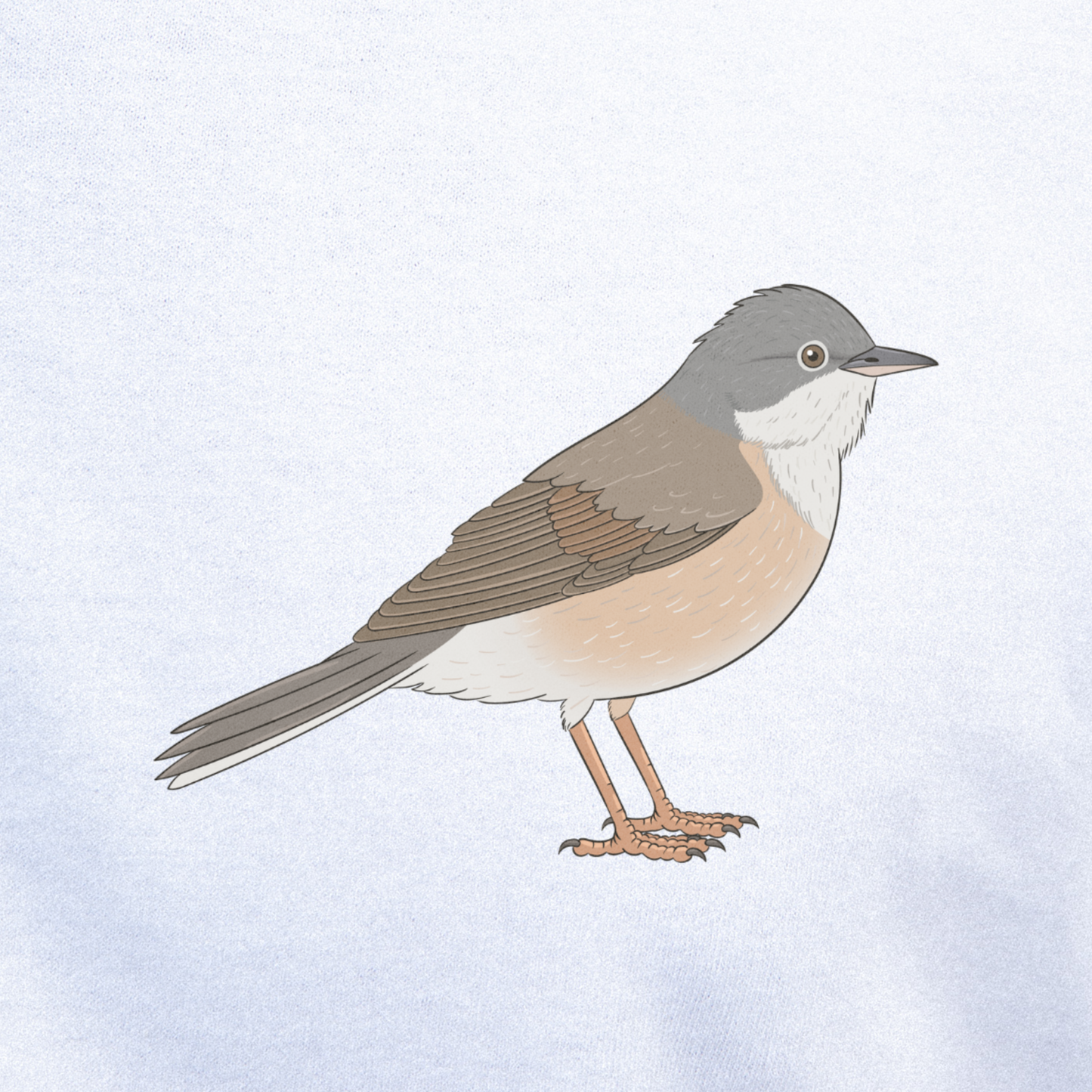 Birdex close-up mockup - Whitethroat Unisex T-shirt