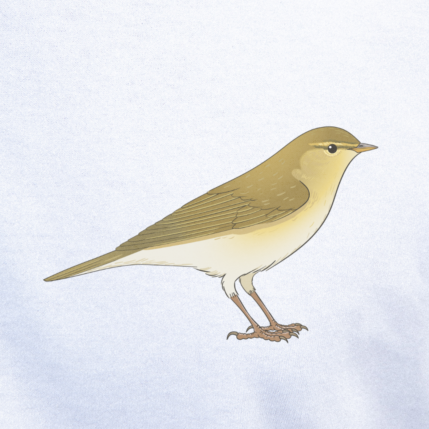 Birdex close-up mockup - Willow Warbler Unisex T-shirt